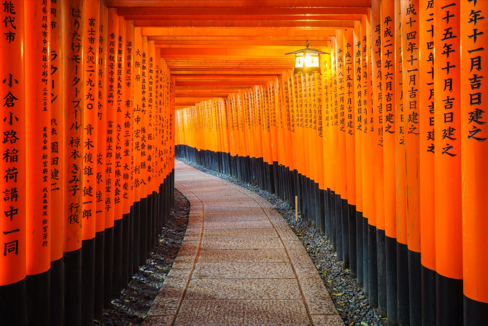 Fushimi Inari dawn → Arashiyama bamboo grove → Kinkaku-ji - Wanvela