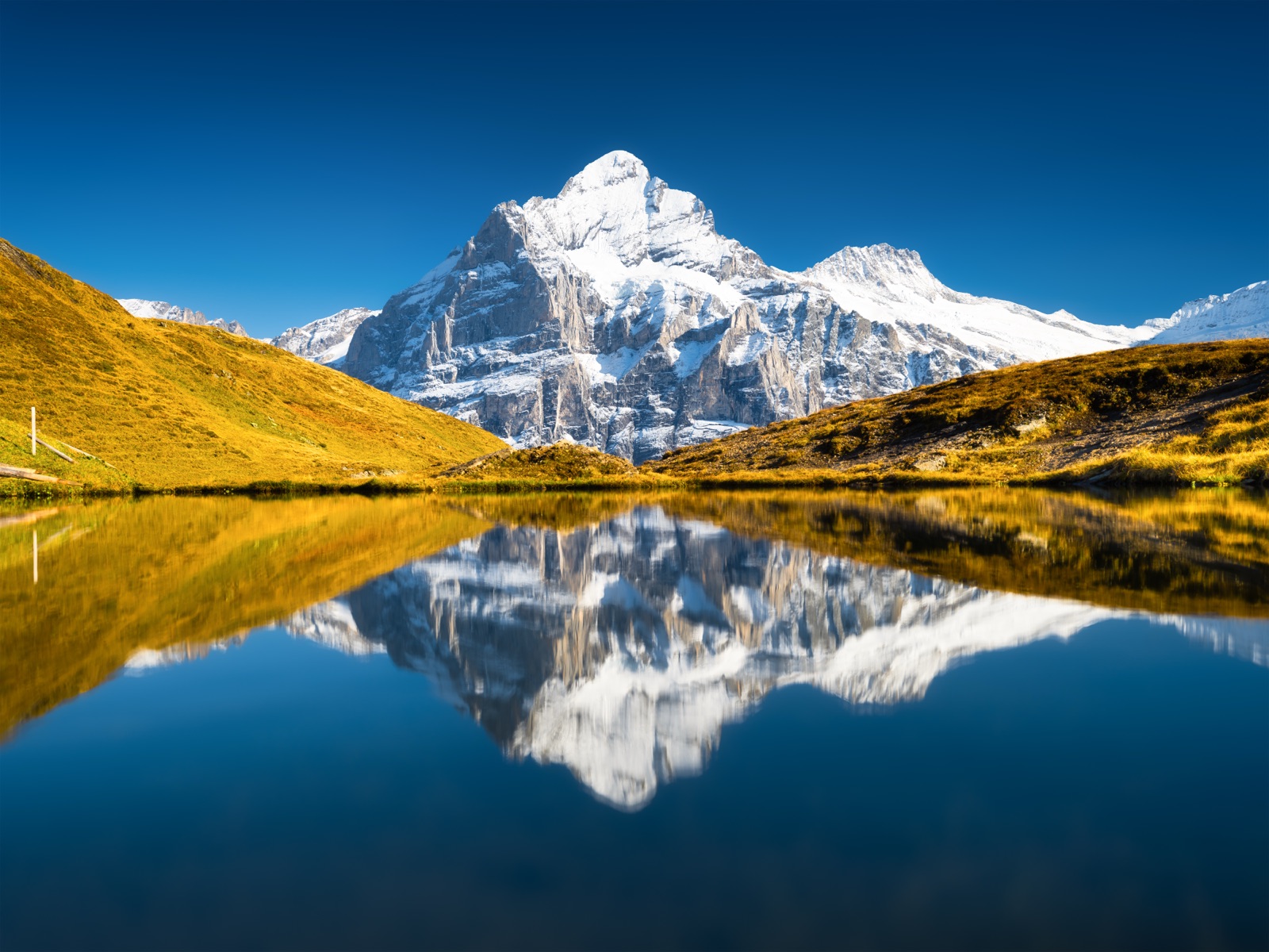 Grindelwald First — 4 adventures + Eiger viewpoints (full day) — Wanvela