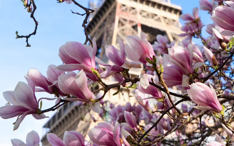 Paris with children — Wanvela Journal